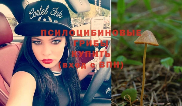 хмурый Алексеевка