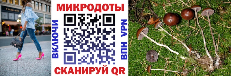 hydra   Обнинск  Галлюциногенные грибы Magic Shrooms  купить  